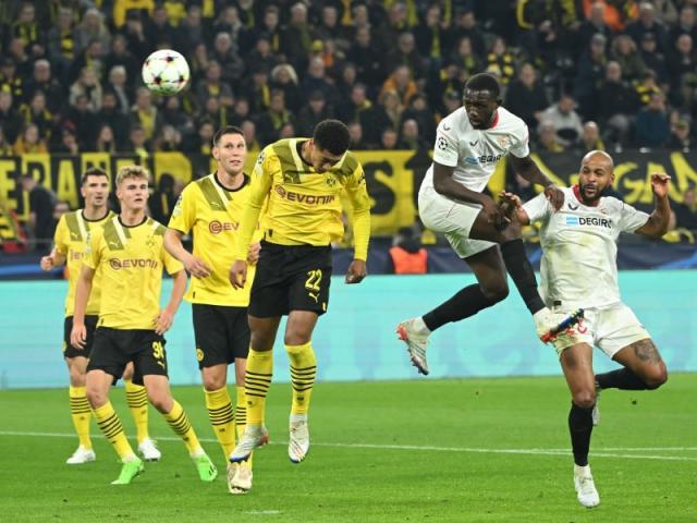 1665538356575064339.jpg 69D25083-C6DB-4EC2-A6F8-CDBA63D42969.jpg